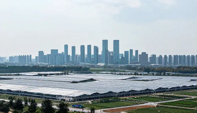 使用维护中性能与适用条件的比较分析